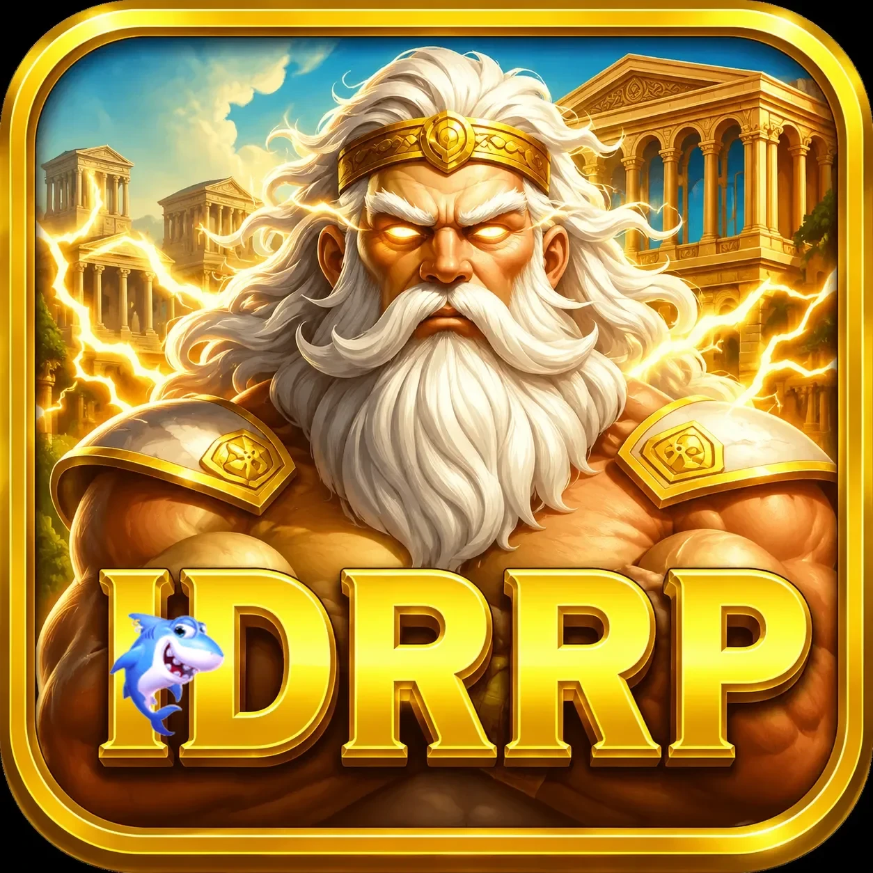 Logo idrrp
